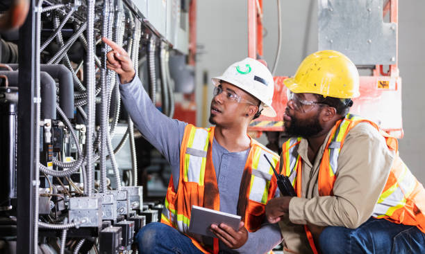 Best Electric Panel Repair  in Lake City, FL